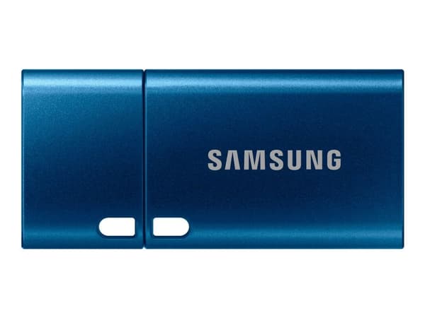 Samsung MUF-256DA - USB flash-enhet - 256 GB - USB-C 3.2 Gen 1 - blå