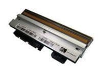 Zebra - 203 dpi - skriverhode - for TLP 2824