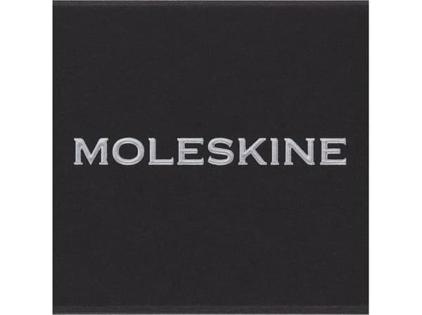 Moleskine Pins V Sølv
