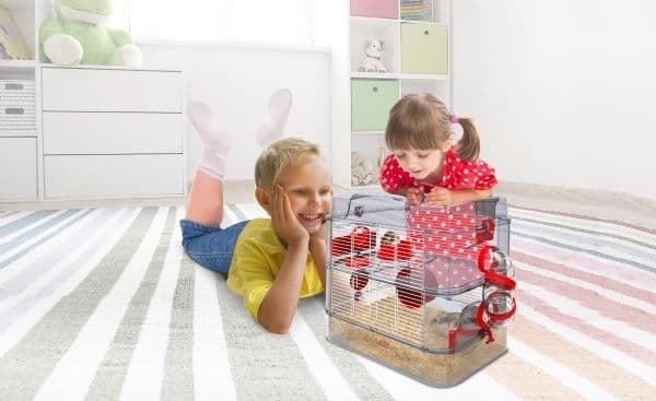 ZOLUX CAGE RODY3 MINI färg vit