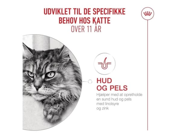 Royal Canin Ageing 11+ stykker i sovs vådfoder til kat - 12x85 g