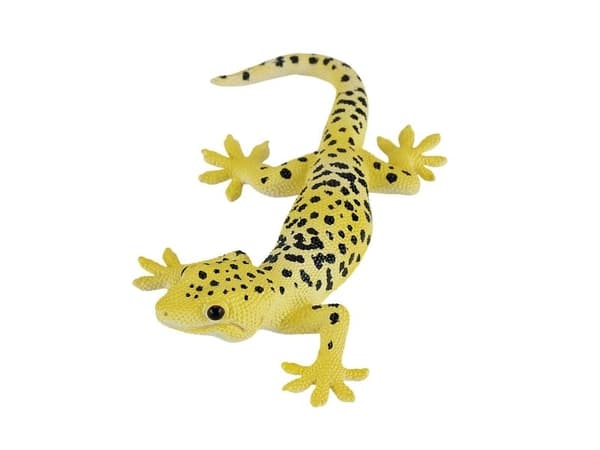 Mojo Leopard gekko