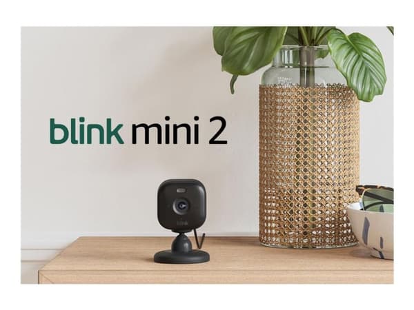 Mini 2 (2 cam)