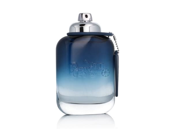 Coach Blue Eau De Toilette 100 ml (man)