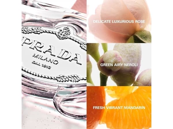 Prada Les Infusions De Rose Eau De Parfum Spray 100ml