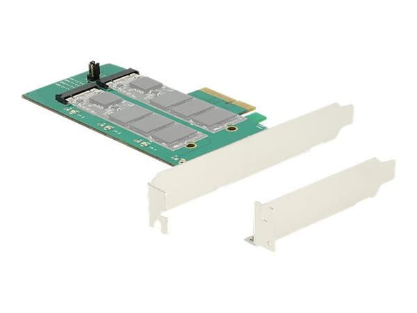 Delock PCI Express Card > 2 x internal M.2 Key B with RAID - Diskkontroller - M.2 Card - lav profil - RAID RAID 0, 1 - PCIe 2.0 x4