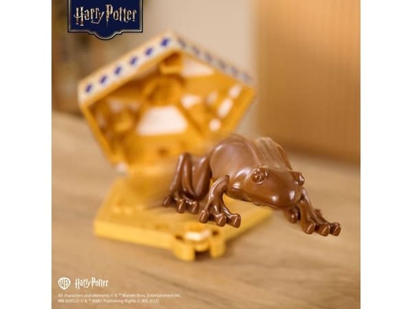 Harry Potter Chocolate Frog