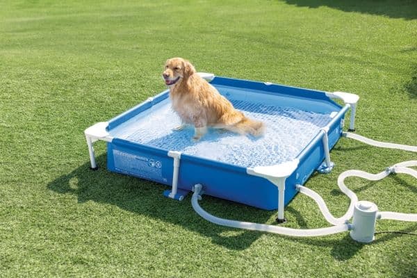Square Frame Pet Pool Set