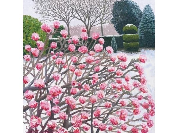 Susan Entwistle Pass with envelope Winter viburnum