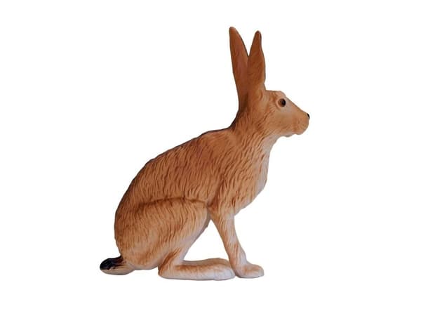 Mojo Hare, sittande