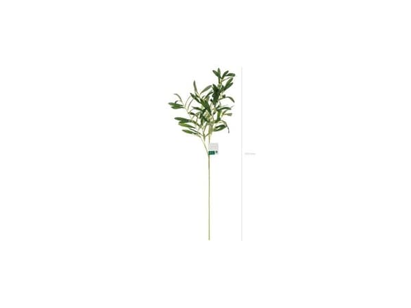Olivkvist 91 cm
