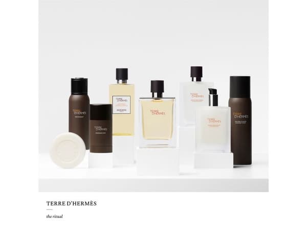 Hermès Terre D'Hermes EDT M 50 ml