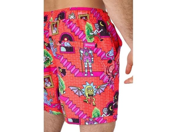Rick & Morty sommarset