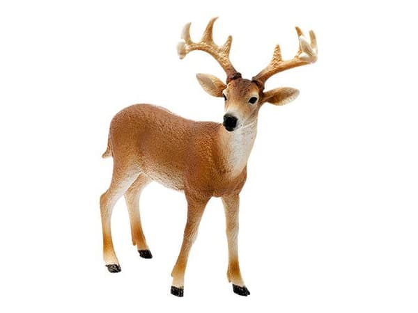 Schleich hvithalet bukk (White-Tailed Buck)