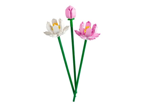 LEGO Botanicals 40647 Lotusblommor