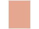 Anti-Blemish Clearing Concealer #02 10ml