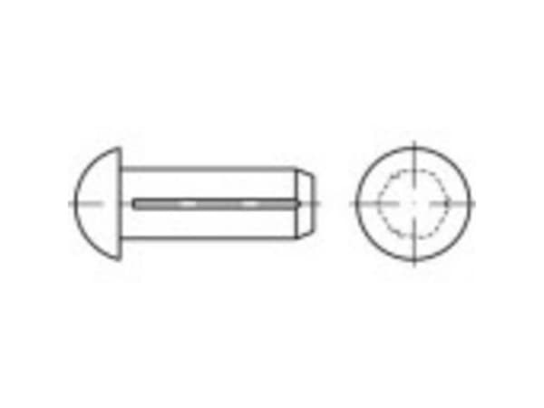 TOOLCRAFT halvrund rillert spiker (Ø×L) 3 mm×5 mm rustfritt stål A2, 100 stk