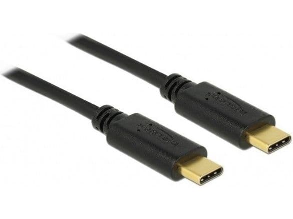 Delock - USB-kaapeli - USB-C (han) til USB-C (han) - USB 2.0 - 5 A - 2 m - lajiteltu