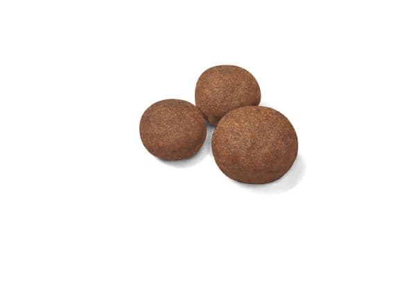 Royal Canin Medium Puppy tørfoder til hvalp - 10 kg