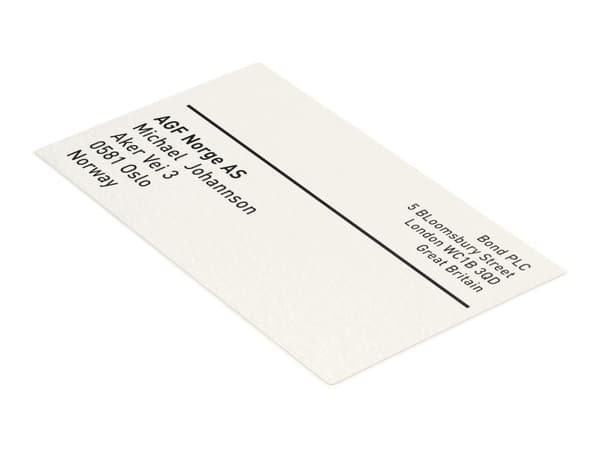 Etikettpatron stanse 59x102 mm Leitz Icon