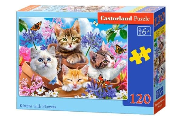 CASTOR 120PCS Kittens wi th flowers