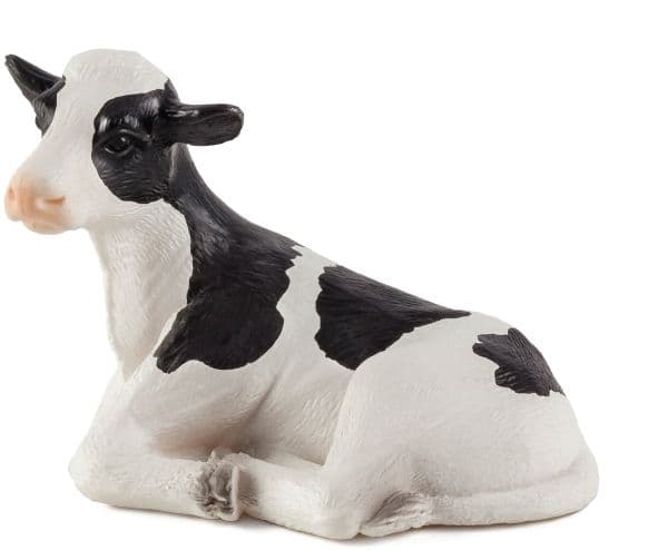 Mojo holstein-kalv, liggande