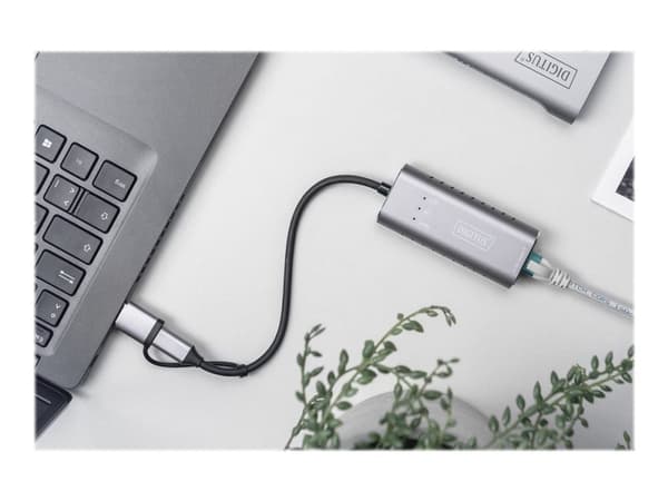 DIGITUS DN-3028 - Nätverksadapter - USB-C / USB-A - 2.5GBase-T - grå