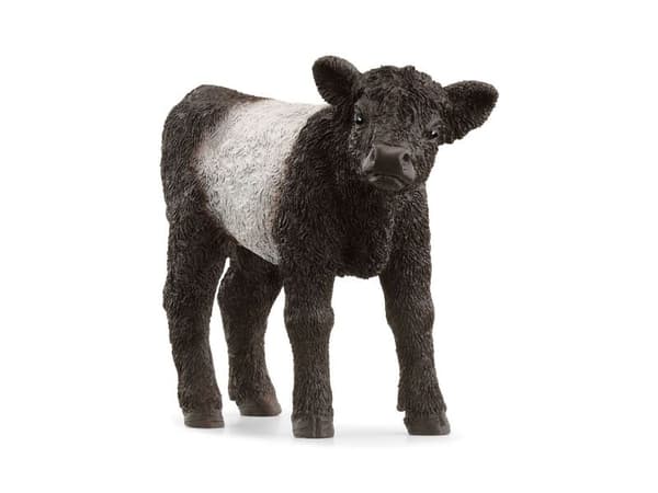 Schleich Galloway Calf