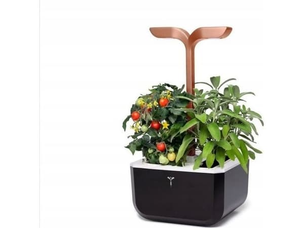 Veritabel Ekte ekte Doniczka Exky Smart Black&Copper