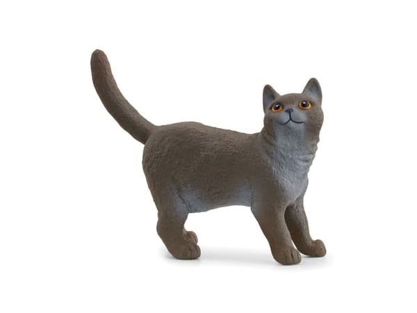 Schleich British Shorthair Cat