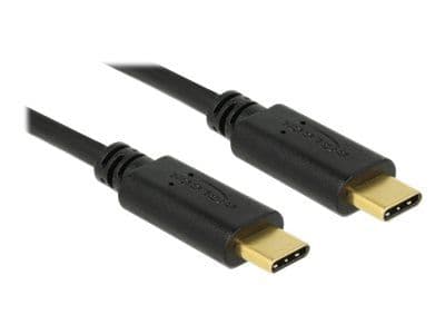 Delock - USB-kaapeli - USB-C (han) til USB-C (han) - USB 2.0 - 5 A - 50 cm - lajiteltu