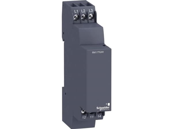 Schneider Electric RM17TG00