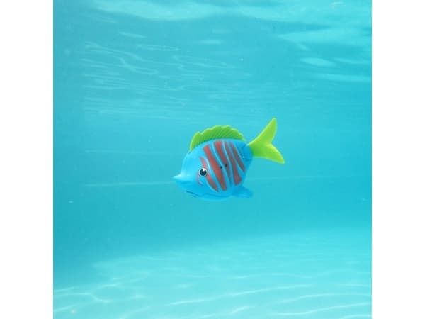 Swim Ways Rainbow Reef Fish – Beta Fish
