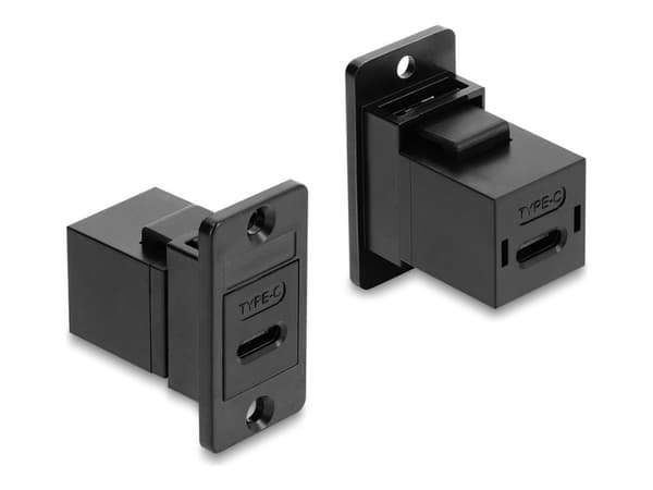 Delock - USB-adapter - USB-C (hona) till USB-C (hona) - USB 2.0 - panelmontering - svart