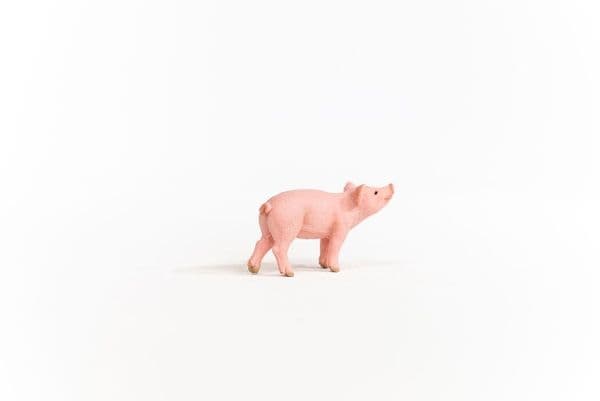Schleich possu