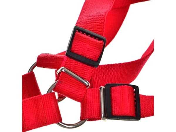Chaba JUSTERBAR SELE 5/80cm RØD