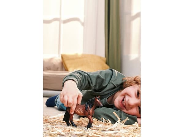 Schleich North Swedish Cold Blooded Mare