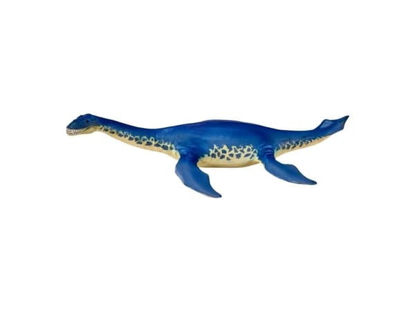 Cryptoclidus