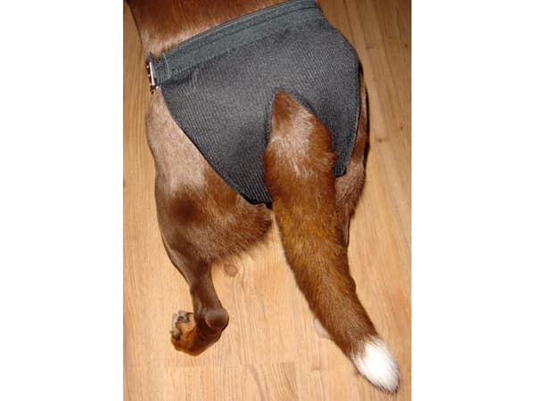 Dogman Tikskydd Justerbart Xl