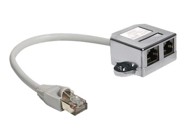 DeLOCK 65177, RJ-45, 2 x RJ-45, Harmaa