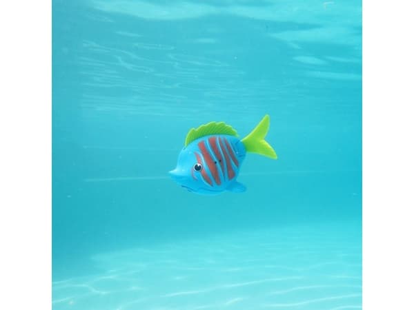 Swim Ways Rainbow Reef Fish – Beta Fish