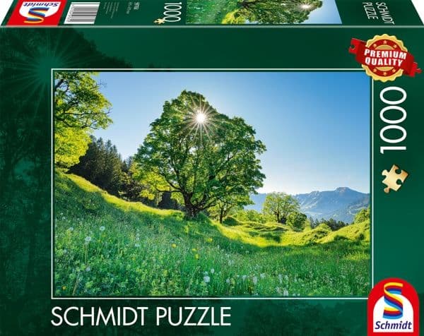 Schmidt Games 59761, 12 År
