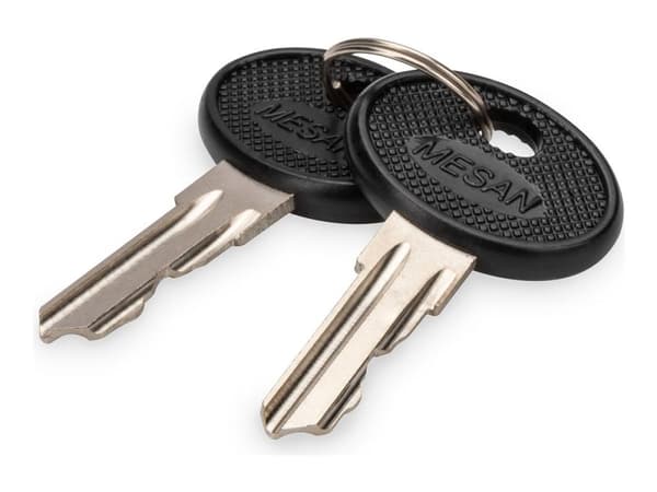 Digitus DN-19-KEY-4444, Lukitusavain, Musta, Hopea, 2 kpl