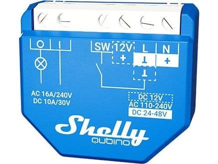 Shelly Qubino Wave 1