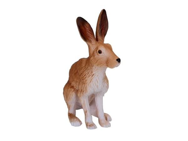 Mojo Hare, sittande