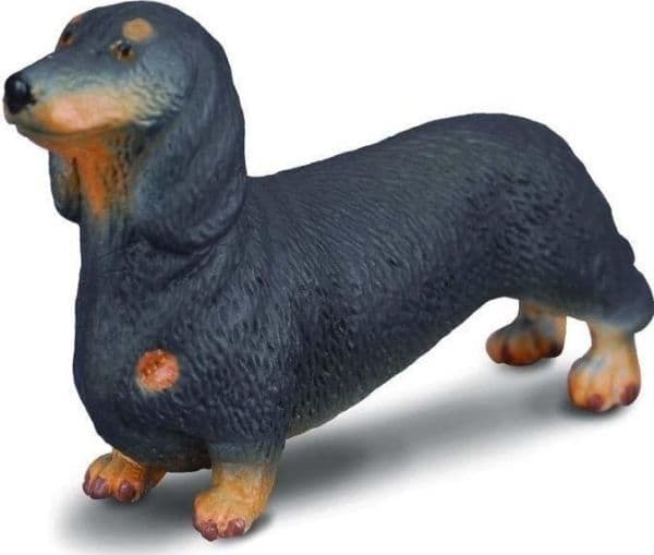 Taxhund (Dachshund) (S)