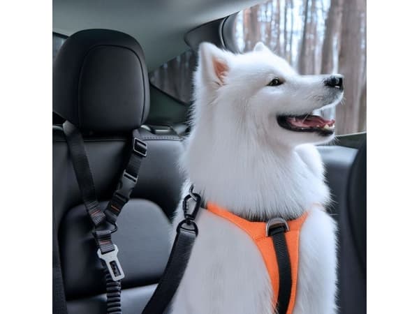 Spigen PS100 Universal Pet Seat Belt - Black
