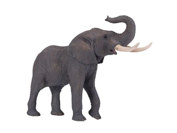 Mojo afrikansk tjur-elefant
