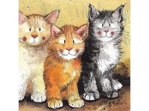 Presentkort AC323 Katter Rodger, Dodger och Tinkerbell