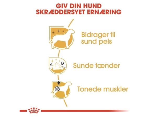 Royal Canin Poodle Adult tørfoder til hund - 7.5 kg